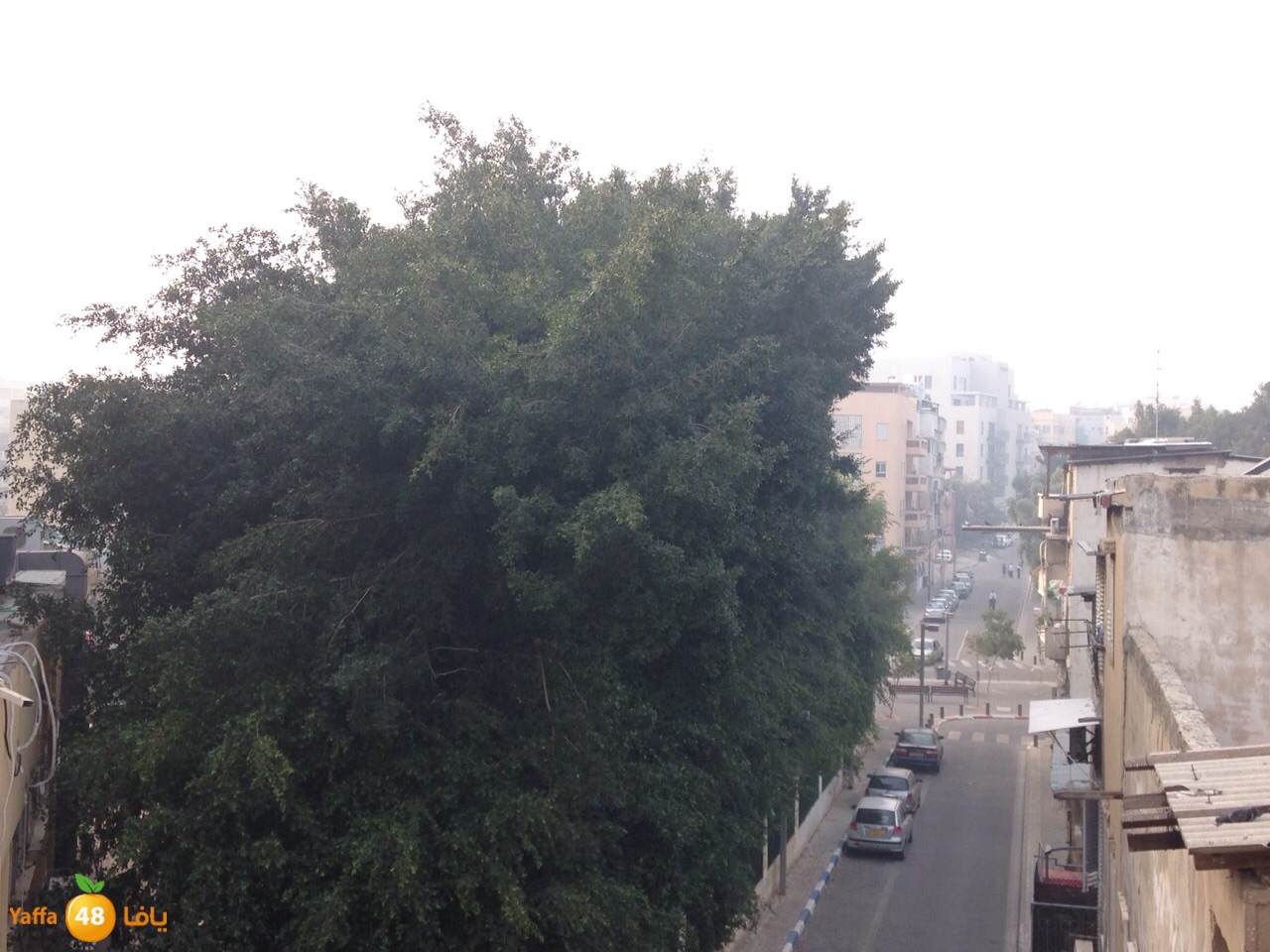 dabab yaffa3j (1).jpg